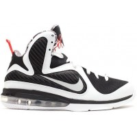 Кроссовки Nike LeBron 9 Freegums