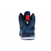 Nike LeBron 9 Swingman