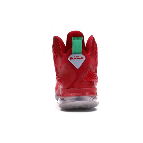 Кроссы Nike LeBron 9 Christmas - мужская сетка размеров