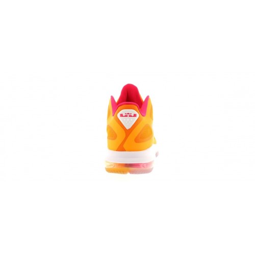 Кроссы Nike LeBron 9 Low Floridians - мужская сетка размеров