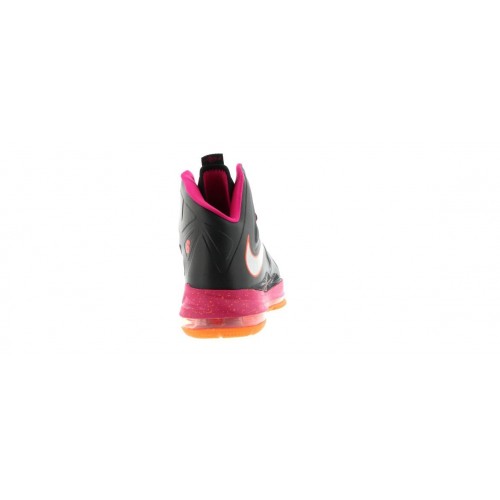 Кроссы Nike LeBron X Floridian - мужская сетка размеров