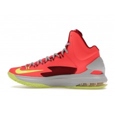 Кроссовки Nike KD 5 DMV