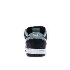 Кроссовки Nike SB Dunk Low S.P.O.T. x Lance Mountain