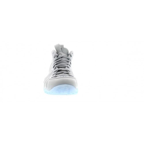 Кроссы Nike Air Foamposite One Wolf Grey Suede - мужская сетка размеров