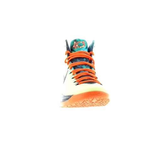 Кроссы Nike KD 5 All-Star Area 72 - мужская сетка размеров
