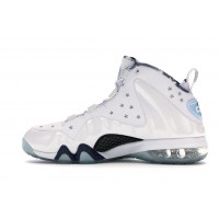 Кроссовки Nike Barkley Posite Max USA