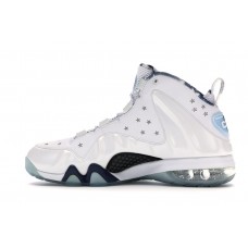 Кроссовки Nike Barkley Posite Max USA