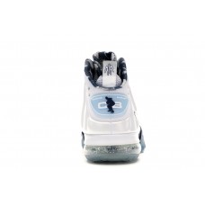 Кроссовки Nike Barkley Posite Max USA