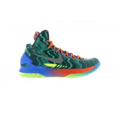 Кроссовки Nike KD 5 What the KD