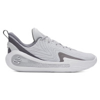 Under Armour Curry Flow 12 TB Halo Grey