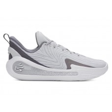 Under Armour Curry Flow 12 TB Halo Grey