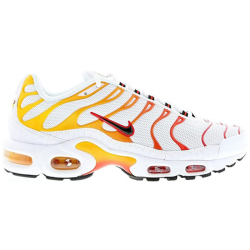 Кроссы Nike Air Max Plus Sunburn (2014) - мужская сетка размеров