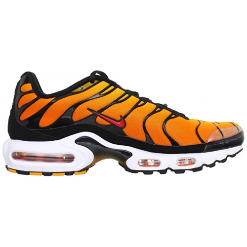 Кроссы Nike Air Max Plus Sunset (2014) - мужская сетка размеров