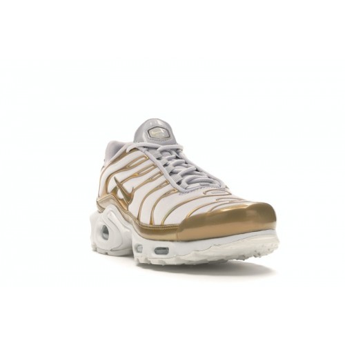 Кроссы Nike Air Max Plus Vast Grey Metallic Gold (W) - женская сетка размеров