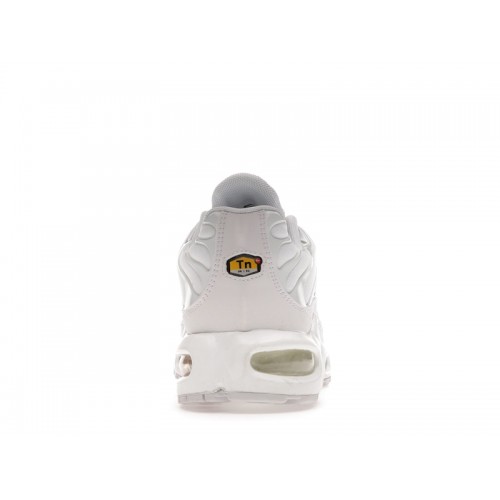 Кроссы Nike Air Max Plus White Pure Platinum (W) - женская сетка размеров