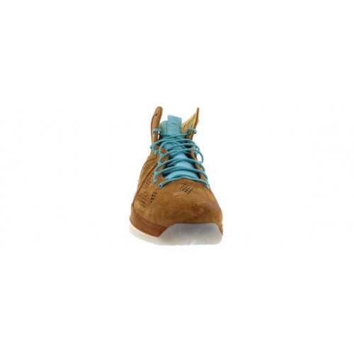 Кроссы Nike LeBron X EXT Hazelnut - мужская сетка размеров