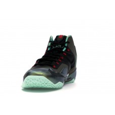 Кроссовки Nike LeBron 11 Kings Pride