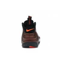 Кроссовки Nike Air Foamposite Pro Color Shift