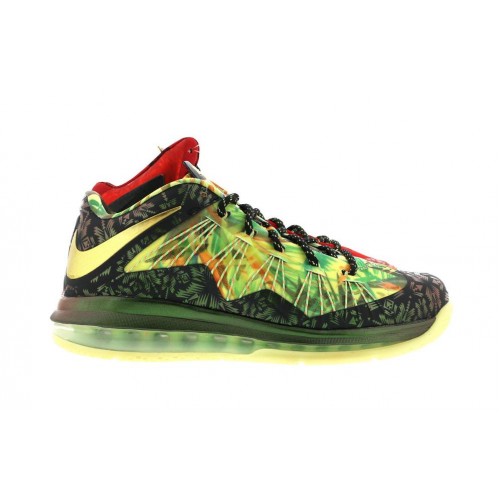 Кроссы Nike LeBron X Celebration Pack - мужская сетка размеров