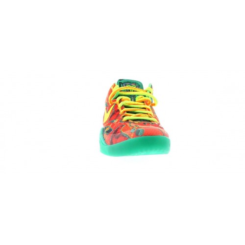 Кроссы Nike Kobe 8 What the Kobe (WTK) - мужская сетка размеров