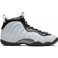 Подростковые кроссовки Nike Air Foamposite One Graffiti (GS)