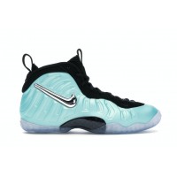 Подростковые кроссовки Nike Air Foamposite Pro Island Green (GS)