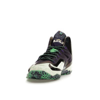 Nike LeBron 11 NOLA Gumbo League Gator King