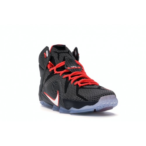 Кроссы Nike LeBron 12 Court Vision - мужская сетка размеров