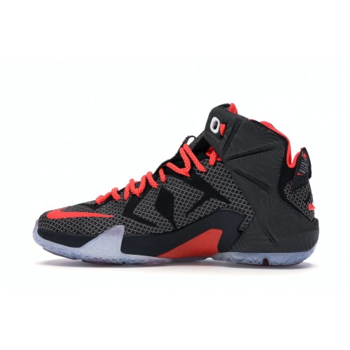 Кроссы Nike LeBron 12 Court Vision - мужская сетка размеров