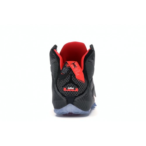 Кроссы Nike LeBron 12 Court Vision - мужская сетка размеров