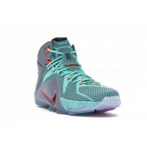 Кроссы Nike LeBron 12 NSRL - мужская сетка размеров