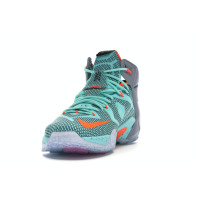 Nike LeBron 12 NSRL