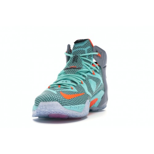 Кроссы Nike LeBron 12 NSRL - мужская сетка размеров