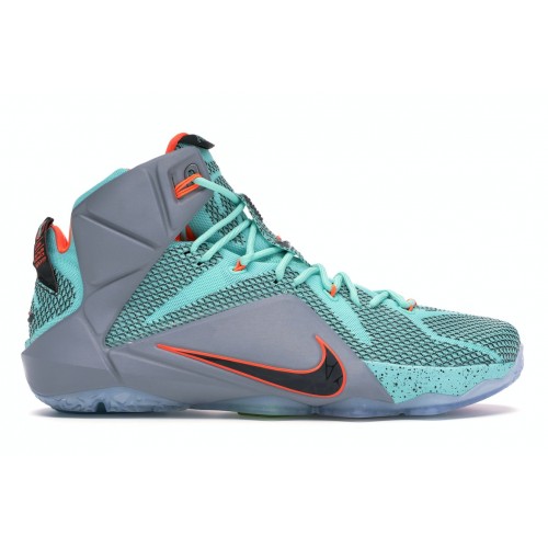 Кроссы Nike LeBron 12 NSRL - мужская сетка размеров