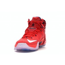 Кроссовки Nike LeBron 12 Independence Day