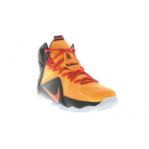 Кроссы Nike LeBron 12 Witness - мужская сетка размеров