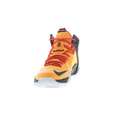 Кроссы Nike LeBron 12 Witness - мужская сетка размеров