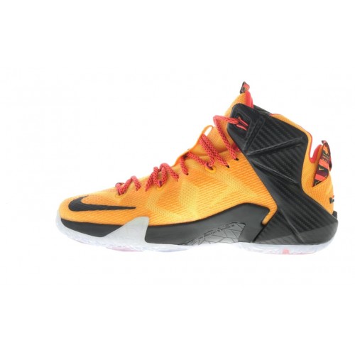Кроссы Nike LeBron 12 Witness - мужская сетка размеров