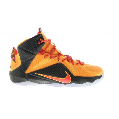Кроссы Nike LeBron 12 Witness - мужская сетка размеров