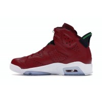 Jordan 6 Retro History of Jordan (Spizike)