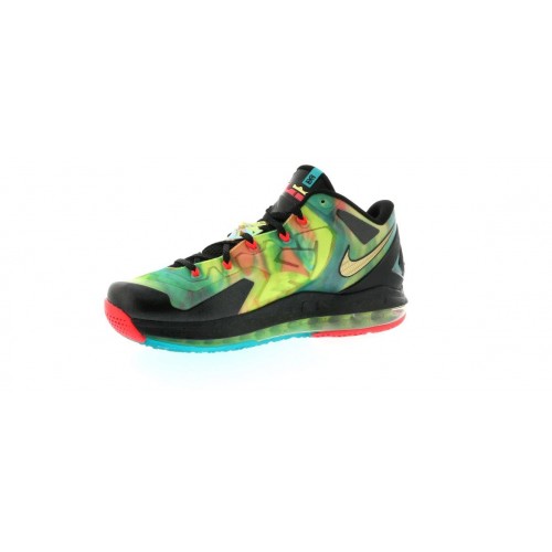 Кроссы Nike LeBron 11 Low SE Multi-Color - мужская сетка размеров