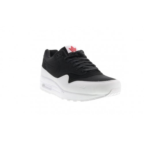 Кроссы Nike Air Max 1 Canada the 6 - мужская сетка размеров