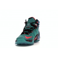 Кроссовки Nike LeBron 12 Akron Birch