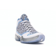 Кроссовки Jordan XX9 Pantone
