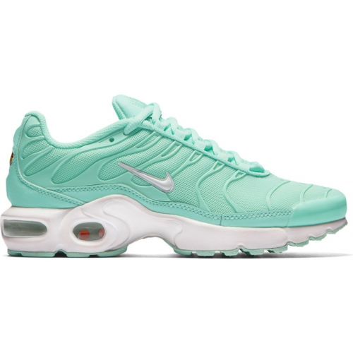 Кроссы Nike Air Max Plus Igloo (GS) - подростковая сетка размеров