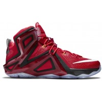 Кроссовки Nike LeBron 12 Elite Team