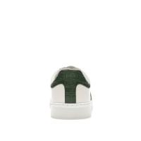 Gucci Ace Web White Green Red