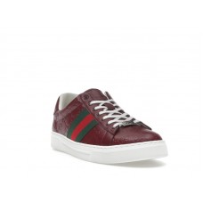Gucci Ace Web Red Rosso Ancora