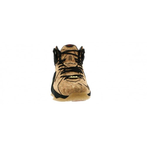 Кроссы Nike LeBron 12 EXT Cork - мужская сетка размеров