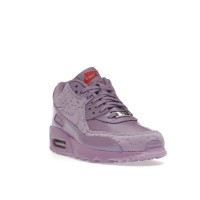 Женские Nike Air Max 90 Paris Macaroon (W)